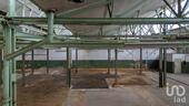 Foto - andere in Viersen