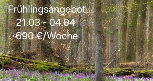 Foto - Osterferien Schnäppchen Ferienhaus Insel Texel 23.03. - 04.04.26