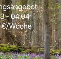 Osterferien Schnäppchen Ferienhaus Insel Texel 23.03. - 04.04.26 - Rietberg