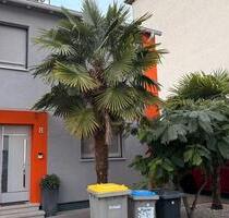 DHH mit Baugenehmigung für DG Ausbau mit zwei Gauben - Mannheim Käfertal