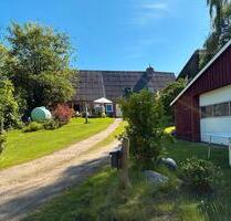 Haus - kleiner Resthof - 299.000,00&nbsp;EUR Kaufpreis, ca.&nbsp; 150,00&nbsp;m&sup2; in Langenhorn (PLZ: 25842)