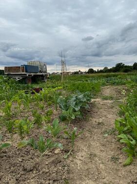 Foto - Grundst&uuml;ck in Lappersdorf zur Miete