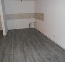 Schöne Souterrain-Wohnung v. 2012 vollständig renoviert zu mieten - Lampertheim