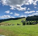 Foto - FERIENWOHNUNG IM HOCHSCHWARZWALD Nur ca. 75 Minuten von Zürich
