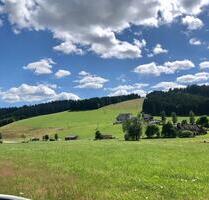 FERIENWOHNUNG IM HOCHSCHWARZWALD Nur ca. 75 Minuten von Zürich - Lenzkirch