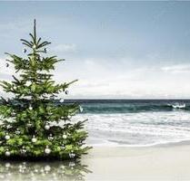 Weihnachten an der Ostsee Ferienhaus Ferienwohnung für Familien - Lensahn