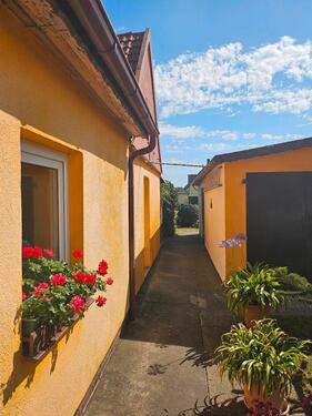 Foto - Einfamilienhaus in Barth zum Kaufen