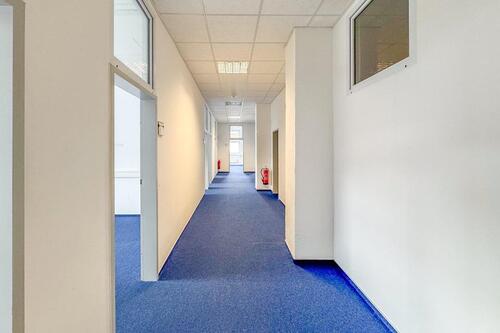 Foto - 270 m² – 7 BÜROS – 2 BESPRECHUNGSRÄUME – KÜCHE – LASTENAUFZUG – STELLPLÄTZE – TOP AUFGETEILT!