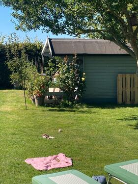 Foto - 3 Zimmer Einfamilienhaus zum Kaufen in Rostock