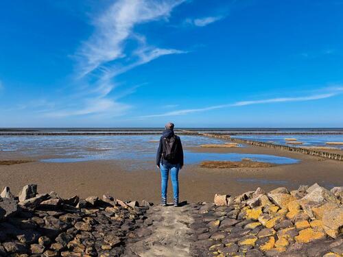 Foto - Westerkoog an der Nordsee - Leben wo andere Urlaub machen