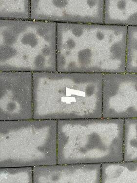 Foto - andere in Hannover