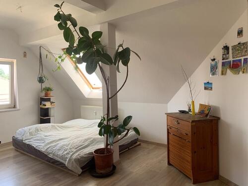 Foto - Zwischenmiete in sonniger Wohnung 2er WG März-April 2026