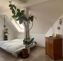 Zwischenmiete in sonniger Wohnung 2er WG März-April 2026 - Dresden Neustadt