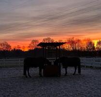 3 Zi Wohnung OG wohnenarbeiten mit Pferd 110m2 - Ottersberg