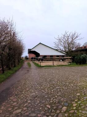 Foto - Idyllischer Pferdestall mit Weide & Paddock in 21635 Jork Ladekop