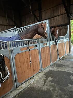 Foto - andere zur Miete in Jork