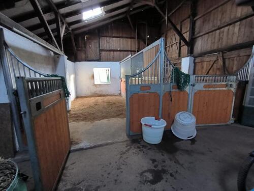 Foto - andere in Jork