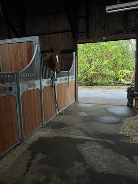 Foto - andere in Jork zur Miete