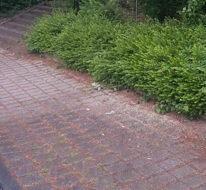 Foto - Auto Stellplatz - 40,00 EUR Miete,