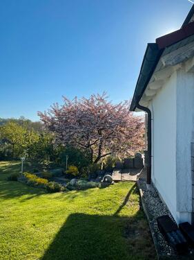 Foto - Einfamilienhaus in Blaufelden zum Kaufen