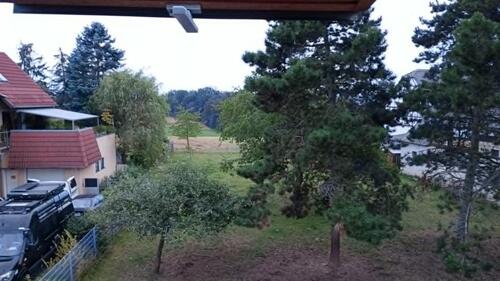 Foto - Bauernhaus, Landhaus zum Kaufen in Crimmitschau