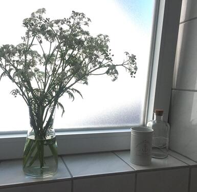 Foto - andere in Fehmarn zur Miete