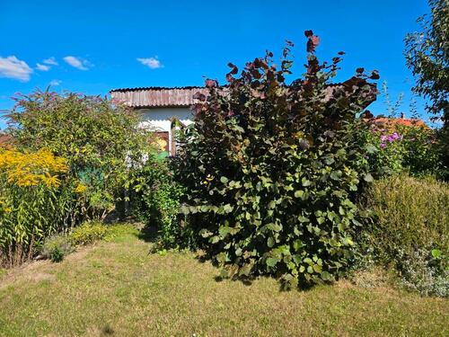 Foto - Grundst&uuml;ck in Neubrandenburg