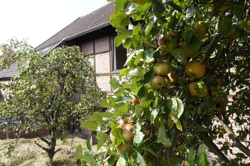 Foto - Eigener Brunnen, eigenes Obst und krisensichere Wärme!!