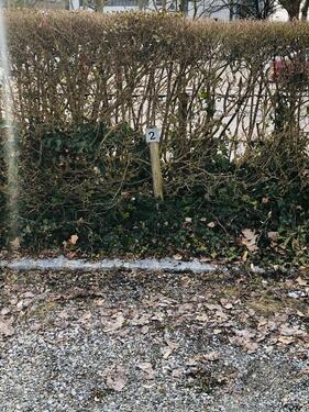 Foto - andere zur Miete in Weingarten