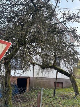 Foto - 3 Zimmer Einfamilienhaus in Uersfeld