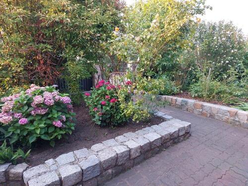 Foto - 4 Zimmer Doppelhaushälfte zum Kaufen in Magdeburg