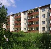 gemütliche 1-Raum-Wohnung im Erdgeschoss - Doberlug-Kirchhain