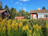 Foto - 2 Sommerhäuser, großer Stall, Sauna im Wald nahe LudvikaSchweden