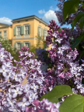 Foto - Find & Secure Your Apartment in Berlin - Get Accepted not Ignored
