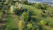 Foto - Grundstück in Esslingen am Neckar