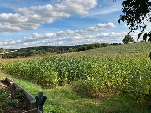 Foto - 1.129 m² Freiheit: Ihr Rückzugsort mit unverbaubarem Süd-Panorama