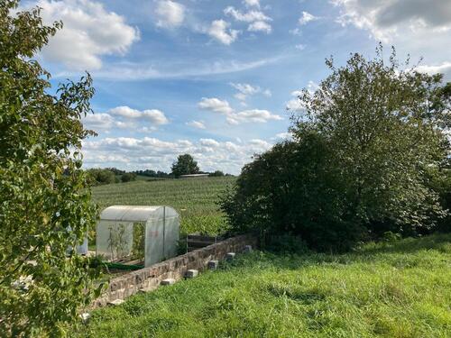 Foto - Grundst&uuml;ck zur Miete in Neunkirchen am Brand