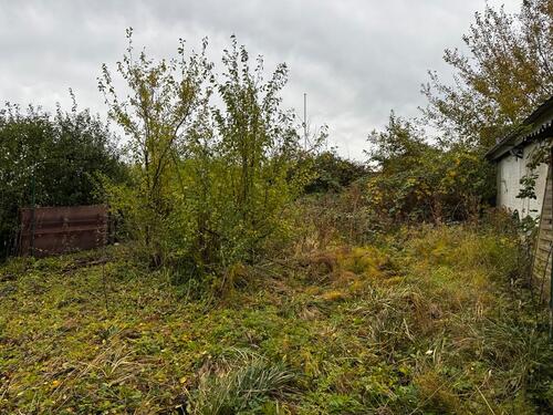 Foto - Einfamilienhaus in Marne zum Kaufen
