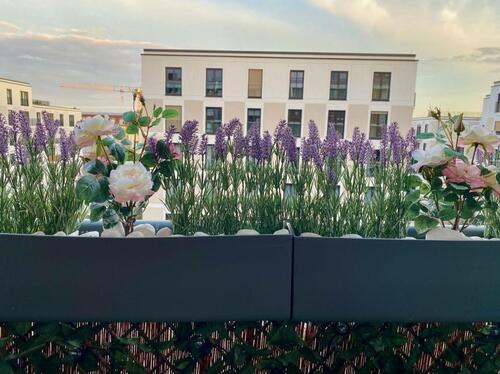 Foto - Praktische Neubauwohnung in Top-Lage in Friedenau U9, U4, S4142