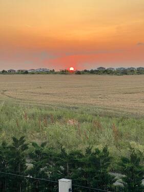 Foto - andere in Nierstein zur Miete