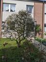 Foto - 4 Zimmer Reihenhaus zum Kaufen in Solingen