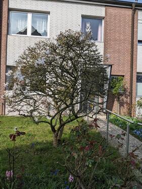 Foto - 4 Zimmer Reihenhaus zum Kaufen in Solingen