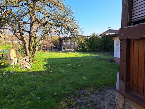 Foto - 