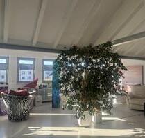 Helles Penthouse in bester Lage - Mannheim Fahrlach