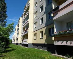 4-Raum-Wohnung in Gatersleben. Für Sie frisch renoviert! - Seeland