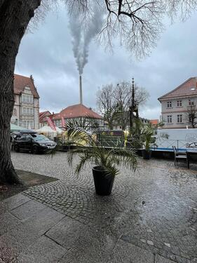 Foto - andere zur Miete in Alfeld (Leine)