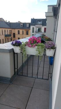 Foto - 2 Zimmer Dachgeschoßwohnung in Potsdam