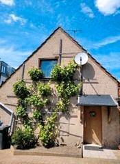 Foto - 4 Zimmer Einfamilienhaus zum Kaufen in Biederitz