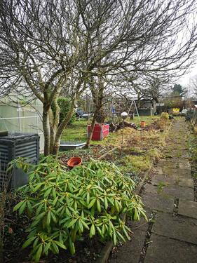 Foto - Kleingarten in Kiel-Projensdorf