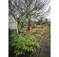 Kleingarten in Kiel-Projensdorf